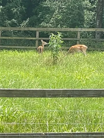 $4,500,000 | 18062 Nelson Loop, Streetman, TX 75859