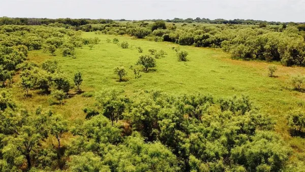 a view of a field with an ocean