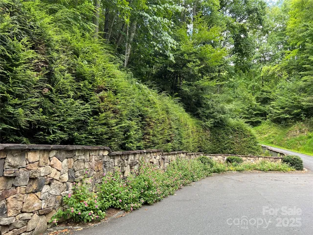 a view of a garden with pathway