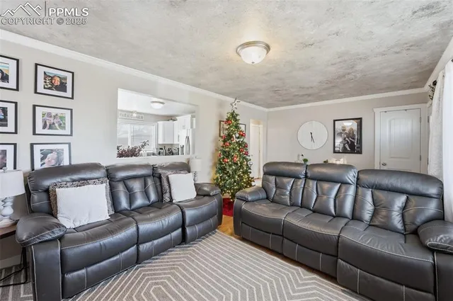 a view of living room filled with furniture and window