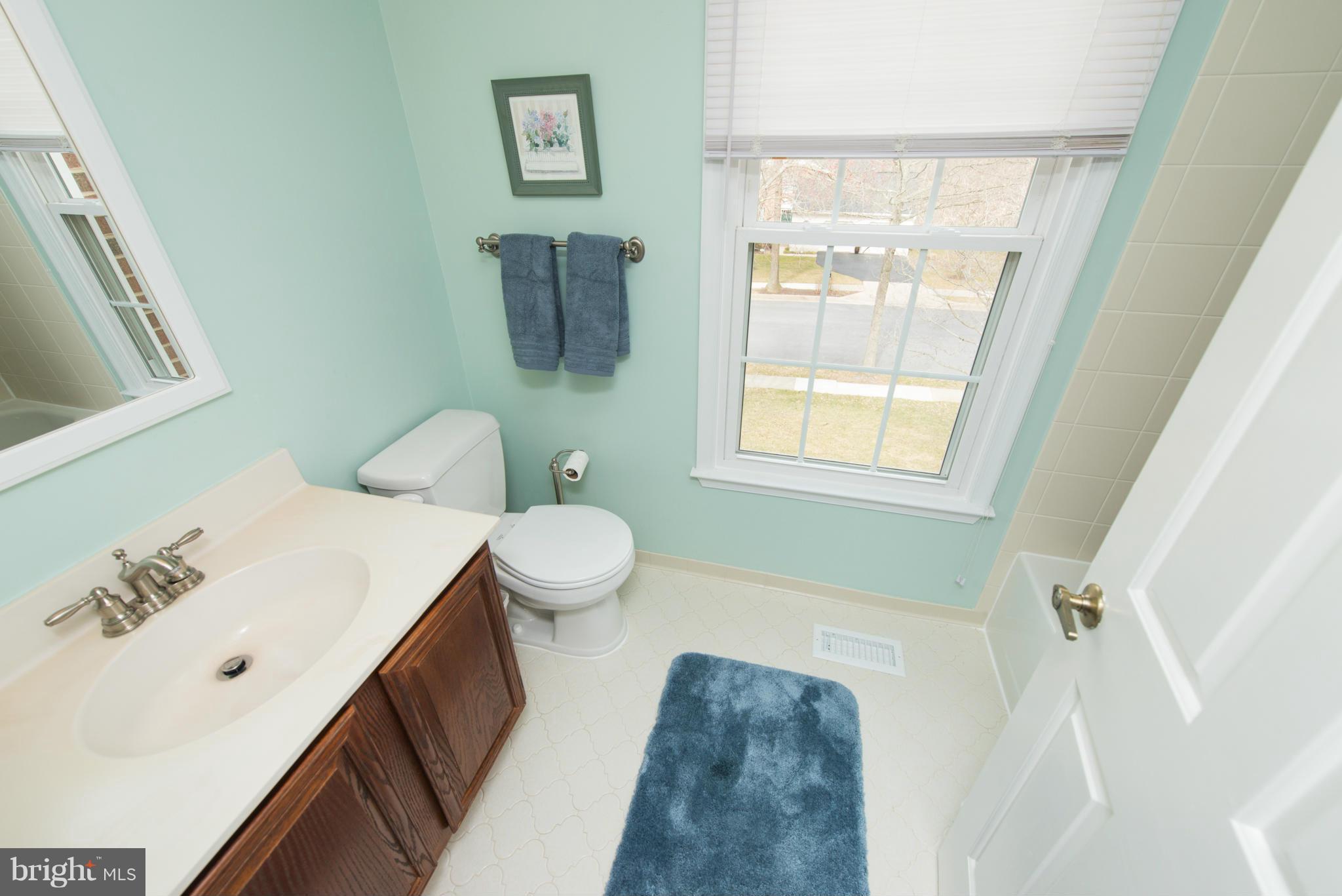 8535 Autumn Rust Road Ellicott City, MD 21043 - Photo 16 of 30 Bath (Master)