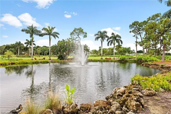 a view of lake