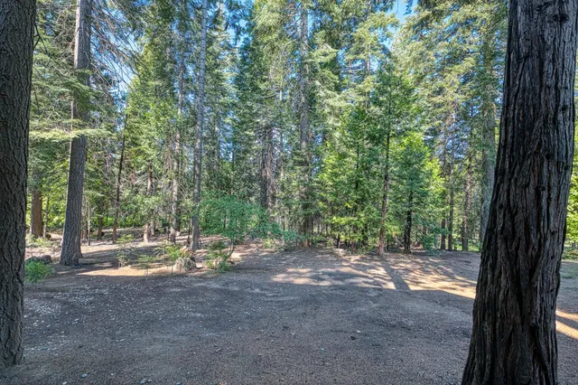 $849,000 | 41228 Heartwood, Shaver Lake, CA 93664