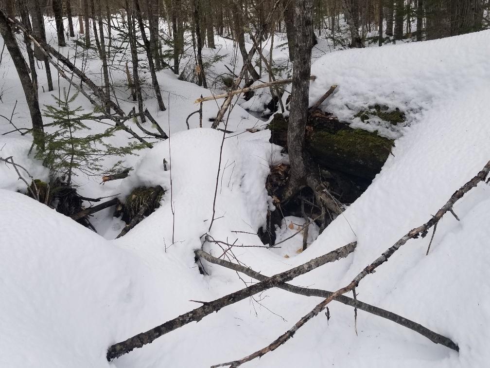 0 Hobbstown Road Milo, ME 04463 - Photo 17 of 30 Snow covered brook 2