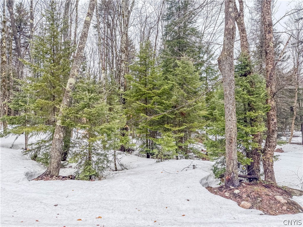 1715 Olin Road Montague, NY 13367 - Photo 1 of 18