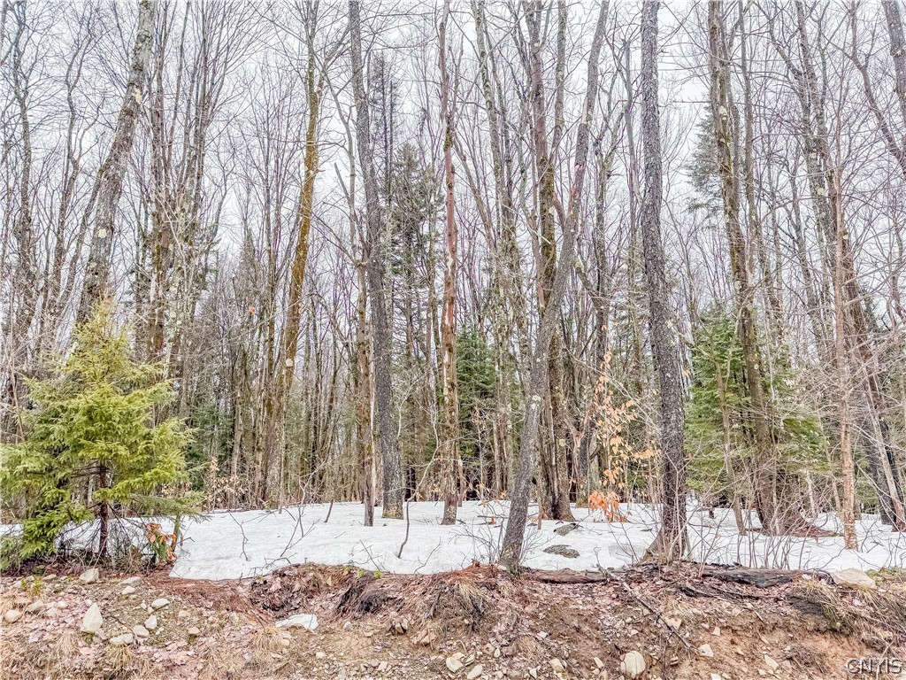 1715 Olin Road Montague, NY 13367 - Photo 11 of 18