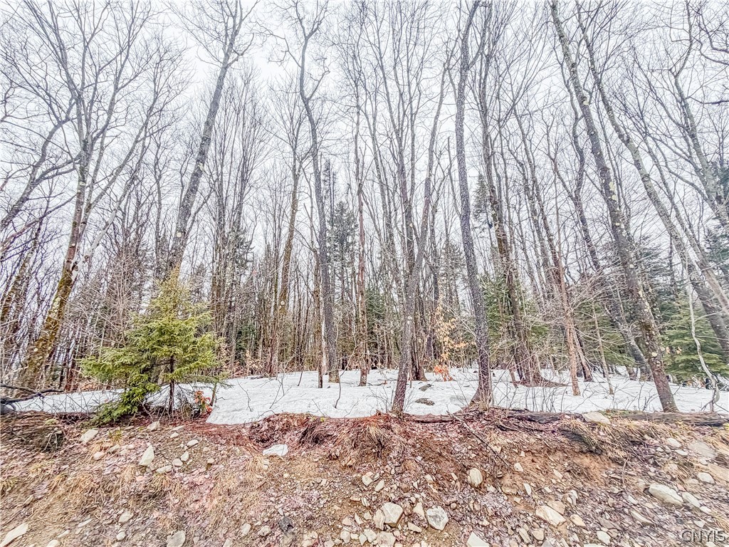 1715 Olin Road Montague, NY 13367 - Photo 12 of 18