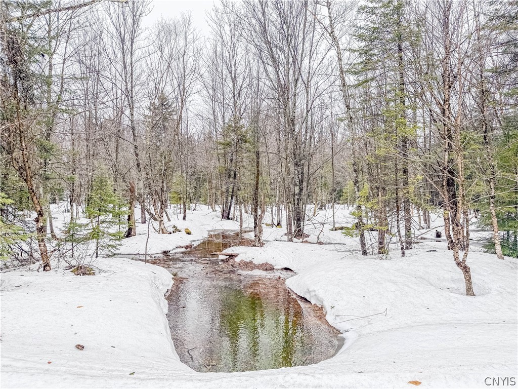 1715 Olin Road Montague, NY 13367 - Photo 13 of 18