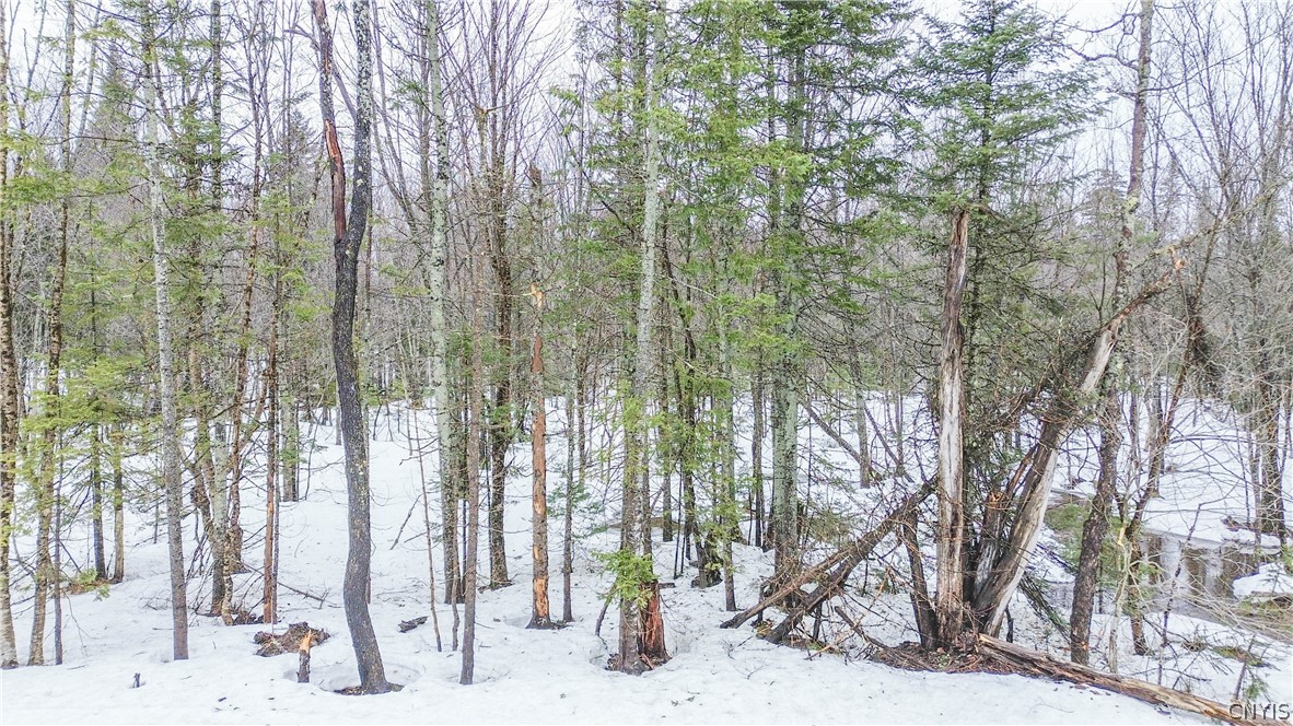 1715 Olin Road Montague, NY 13367 - Photo 14 of 18