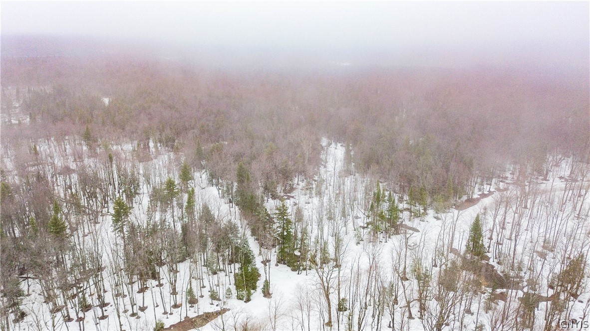 1715 Olin Road Montague, NY 13367 - Photo 4 of 18