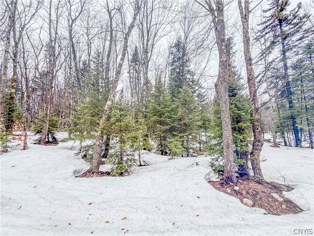 1715 Olin Road Montague, NY 13367 - Photo 8 of 18