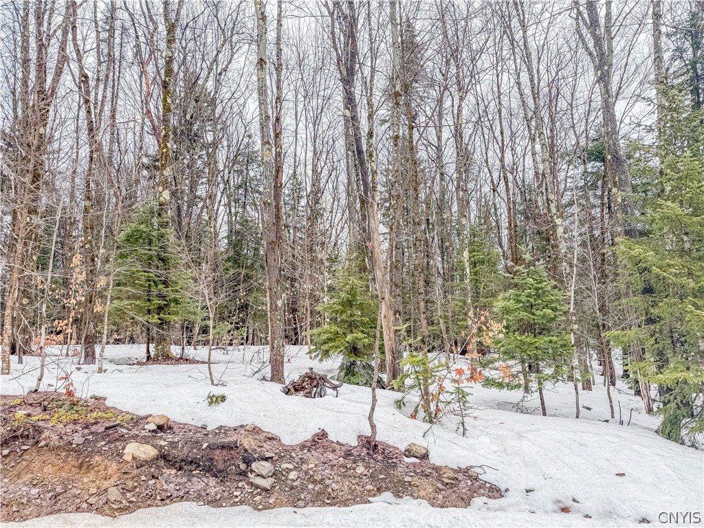 1715 Olin Road Montague, NY 13367 - Photo 9 of 18