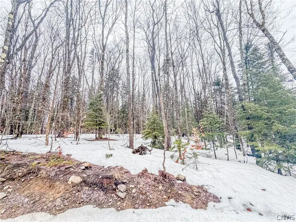 $65,500 | 1715 Olin Road, Montague, NY 13367