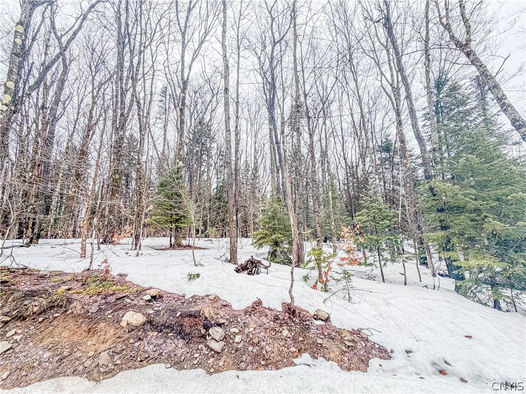 1715 Olin Road Montague, NY 13367 - Photo 10 of 18