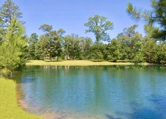 77011 Old Military Road Covington, LA 70435 - Photo 3 of 7