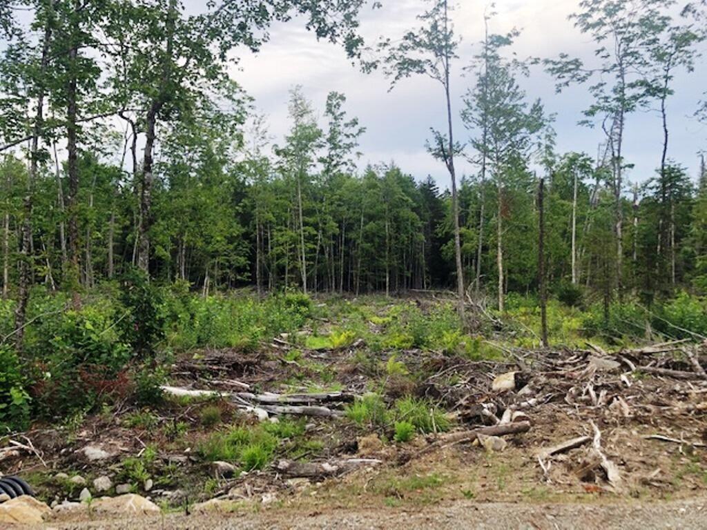 Lot 6 Hammond Brook Road Monson, ME 04464 - Photo 8 of 9 1