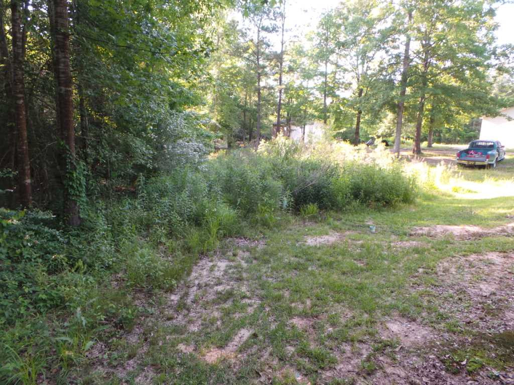 1011 Alexander Myers Road Florence, MS 39073 - Photo 2 of 10 BACKYARD
