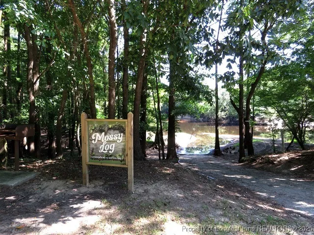 a view of a street with a tree