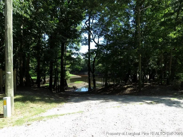 a view of a lake in a forest
