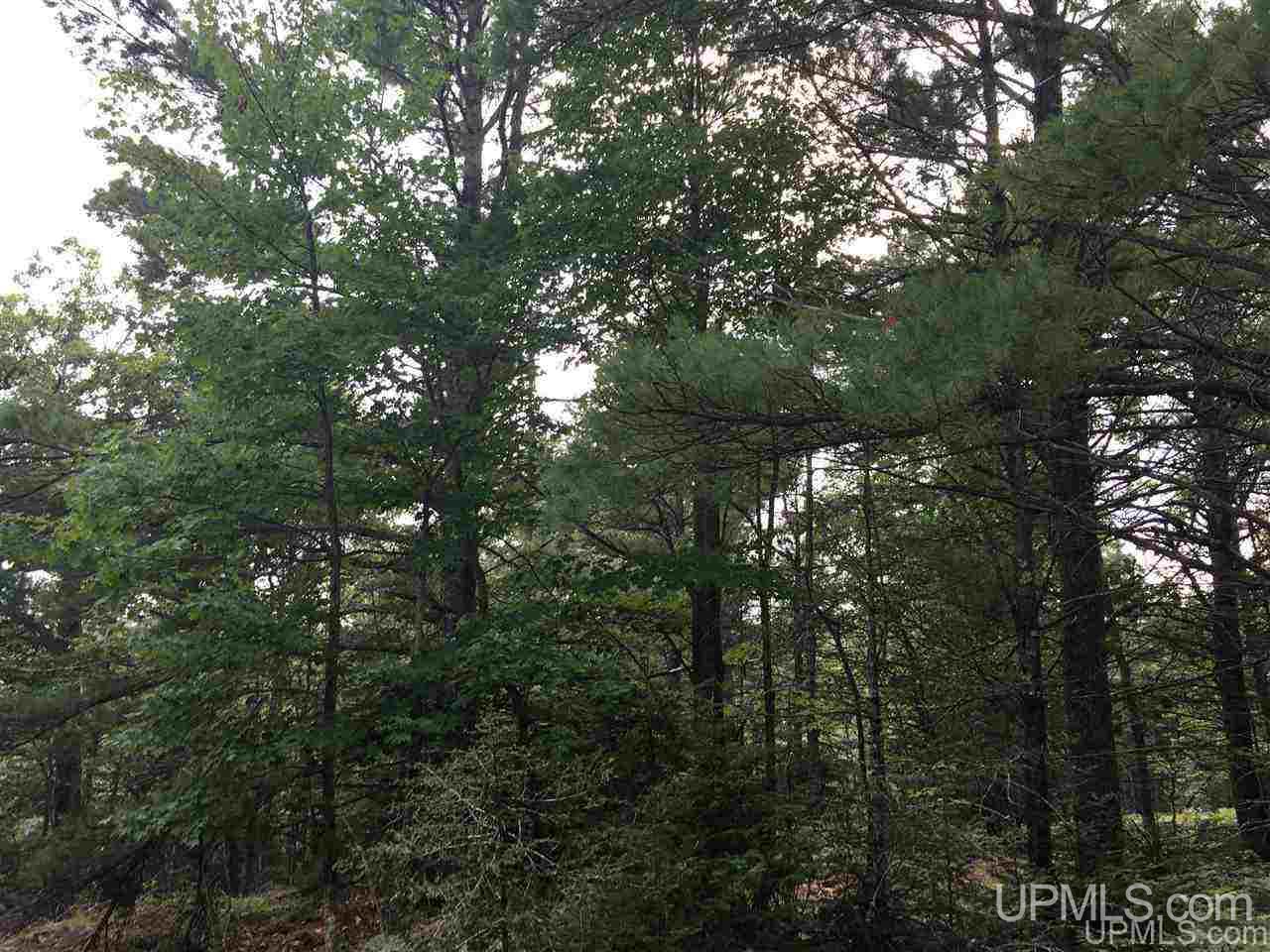 M35 Ne Negaunee, MI 49866 - Photo 10 of 17 Gallery Image 10