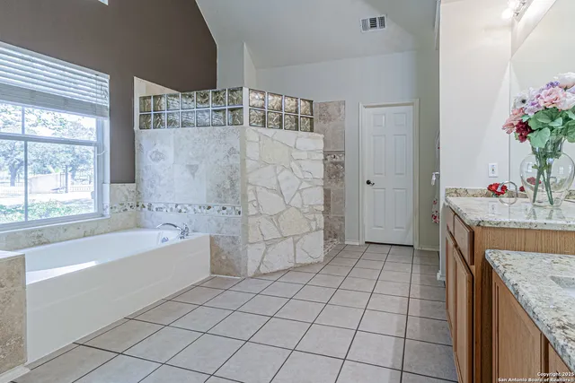 a view of a forest with a forest