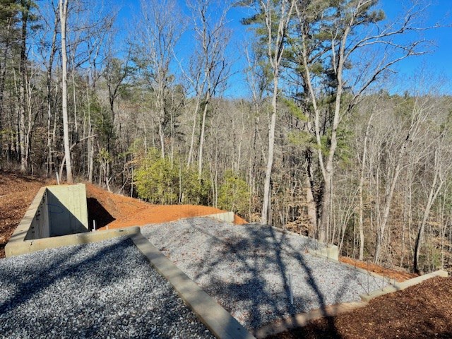 28 Bill Claypool Drive Blue Ridge, GA 30513 - Photo 4 of 60 a view of outdoor space and yard
