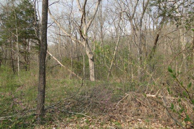 4 Rt Ava, MO 65608 - Photo 1 of 1 Primary Photo