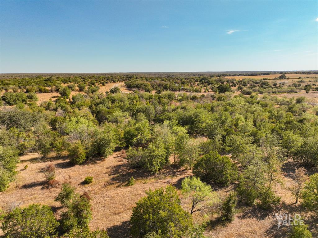 Tbd Lot 25 New Hope Road Mineral Wells, TX 76484 - Photo 11 of 14 an empty room with mountain view