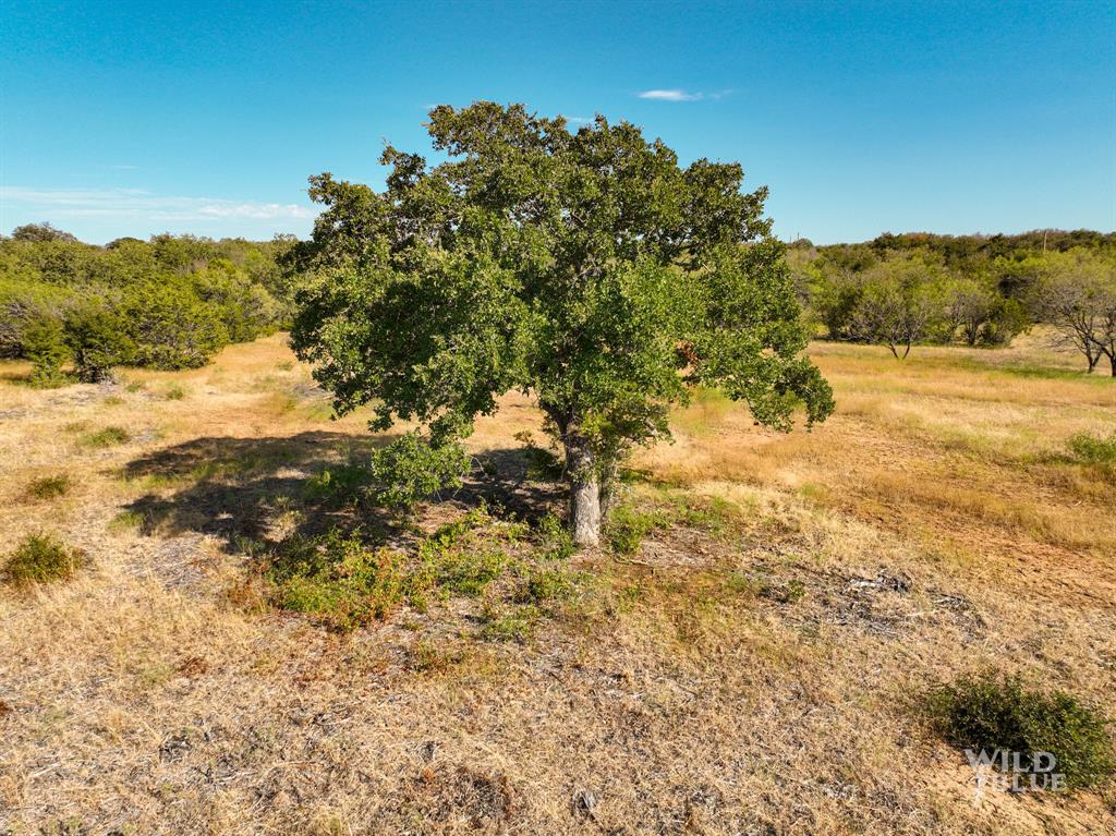 Tbd Lot 25 New Hope Road Mineral Wells, TX 76484 - Photo 6 of 14 a view of a yard with mountain and lake view