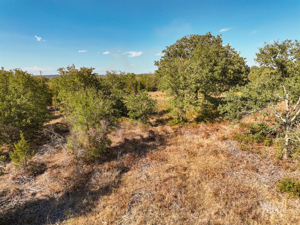 Tbd Lot 25 New Hope Road Mineral Wells, TX 76484 - Photo 7 of 14 a view of a field