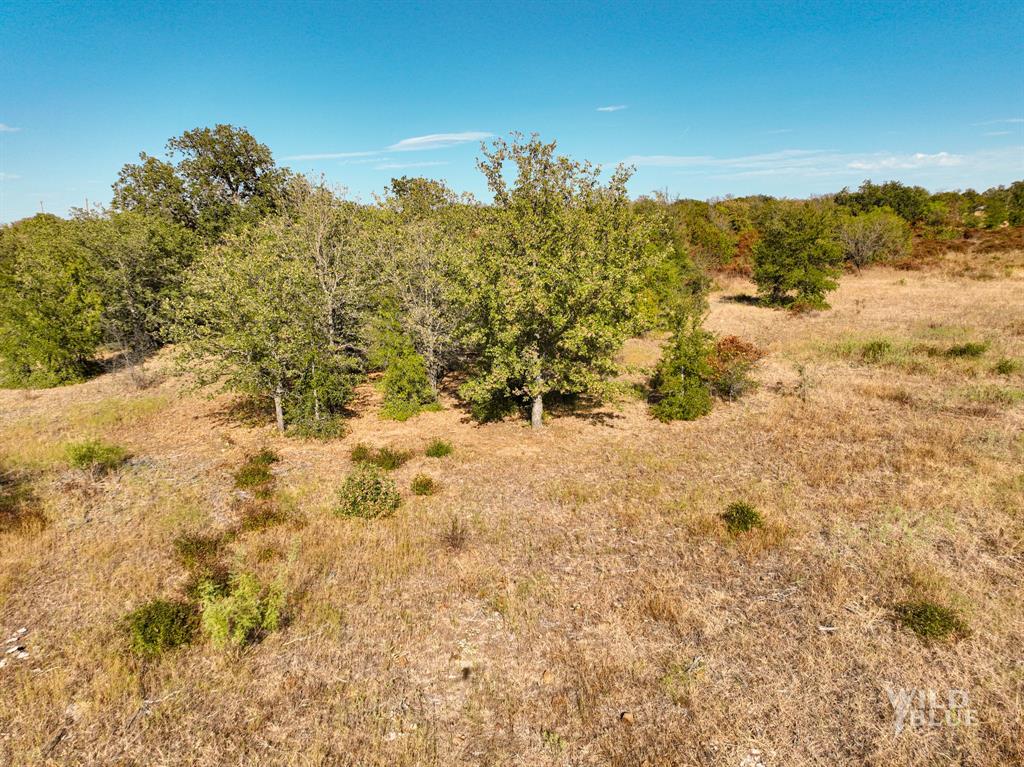 Tbd Lot 25 New Hope Road Mineral Wells, TX 76484 - Photo 8 of 14 a view of a yard with trees