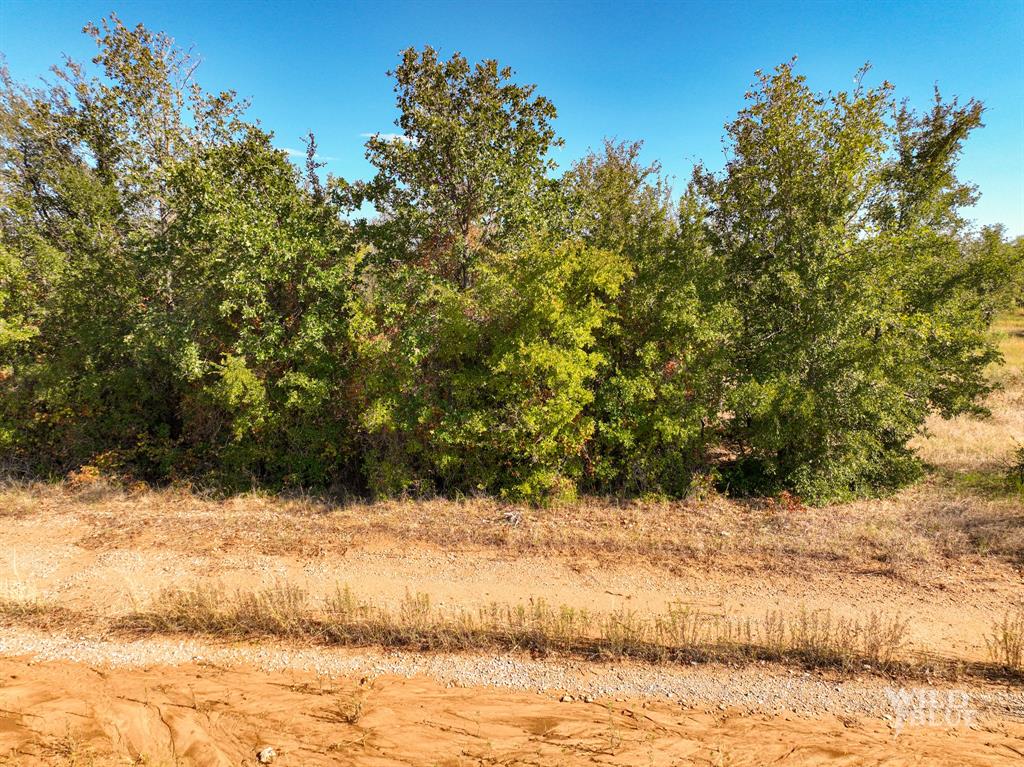 Tbd Lot 25 New Hope Road Mineral Wells, TX 76484 - Photo 9 of 14 a view of a yard