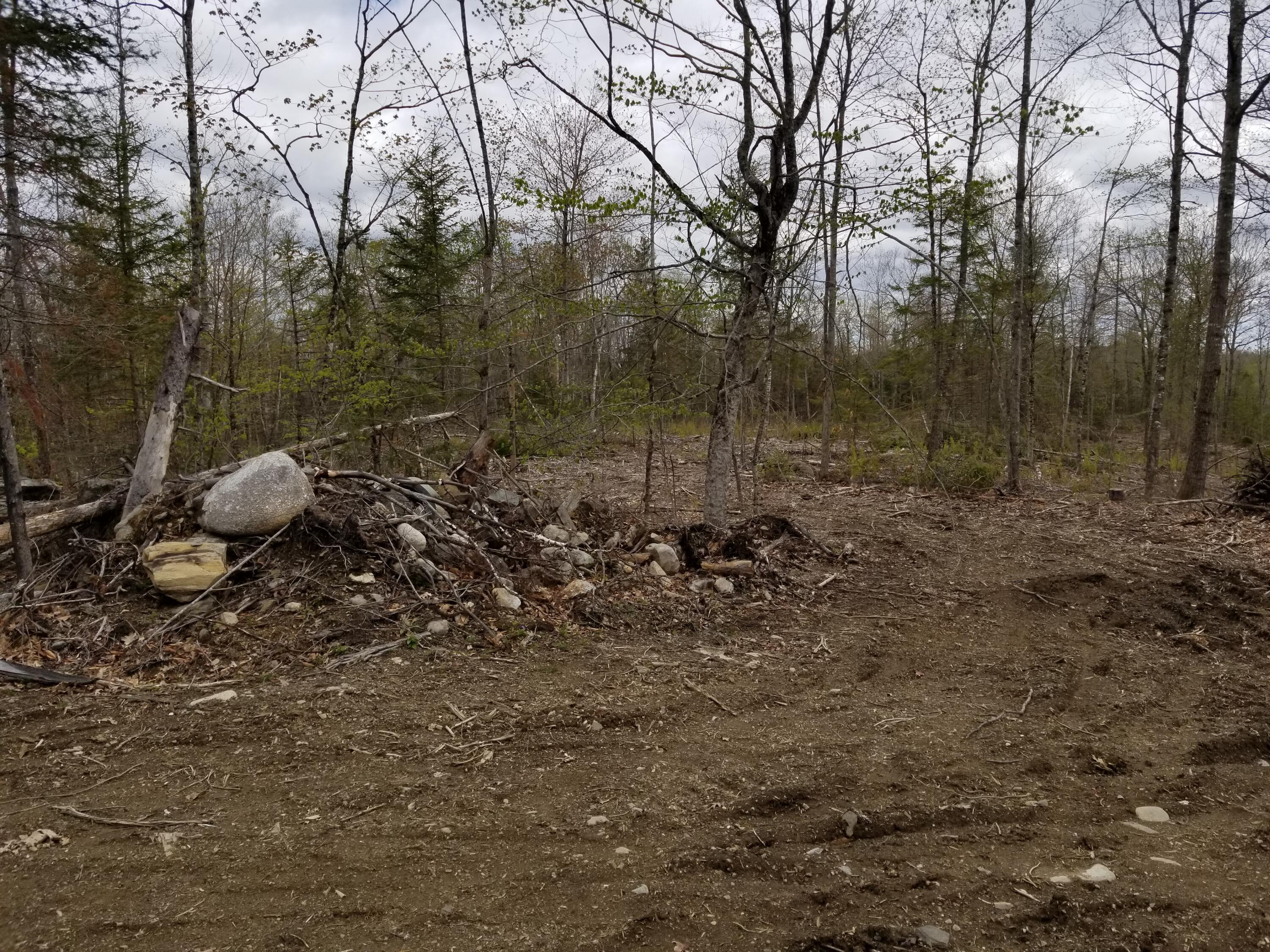 Tbd Kimball Hill Road Jackson, ME 04921 - Photo 6 of 13 20210506_142332