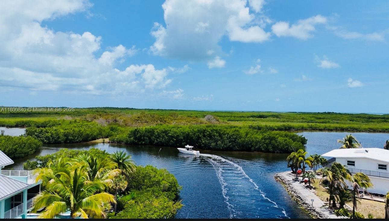 157 La Paloma Road Key Largo, FL 33037 - Photo 7 of 60 Gallery Image 7