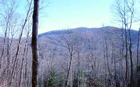 Rainbow Falls Road Franklin, NC 28734 - Photo 1 of 1 Main View