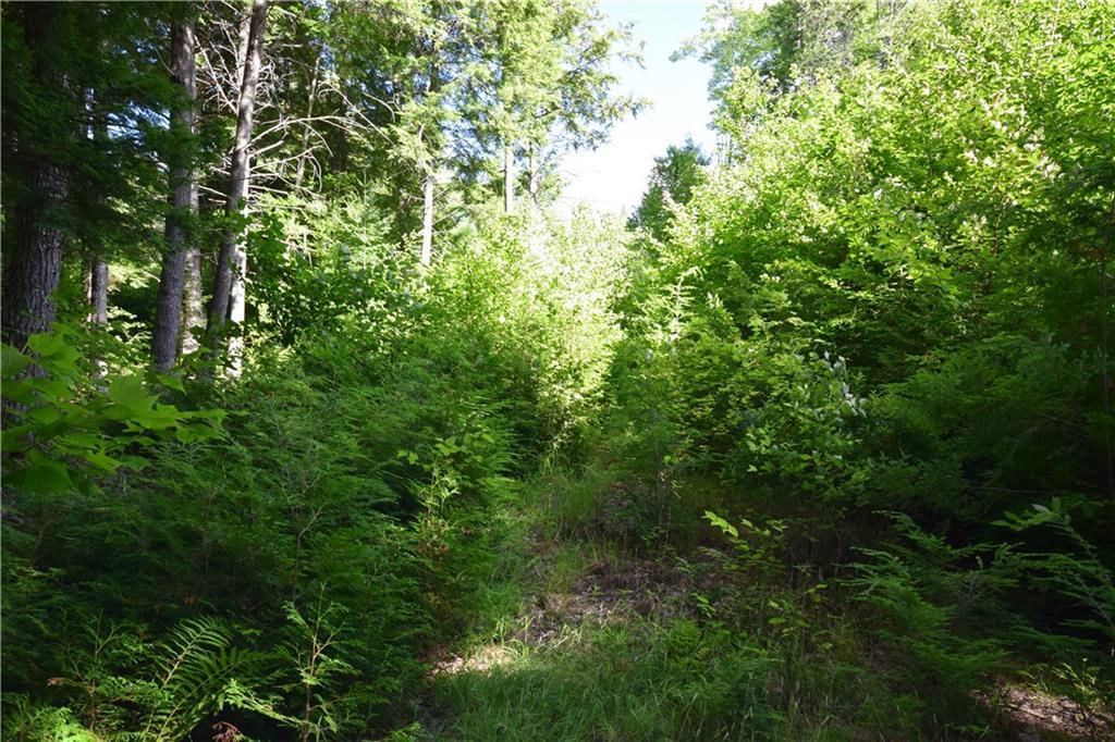 700 Madagascal Pond Road Burlington, ME 04417 - Photo 23 of 33 Photo
