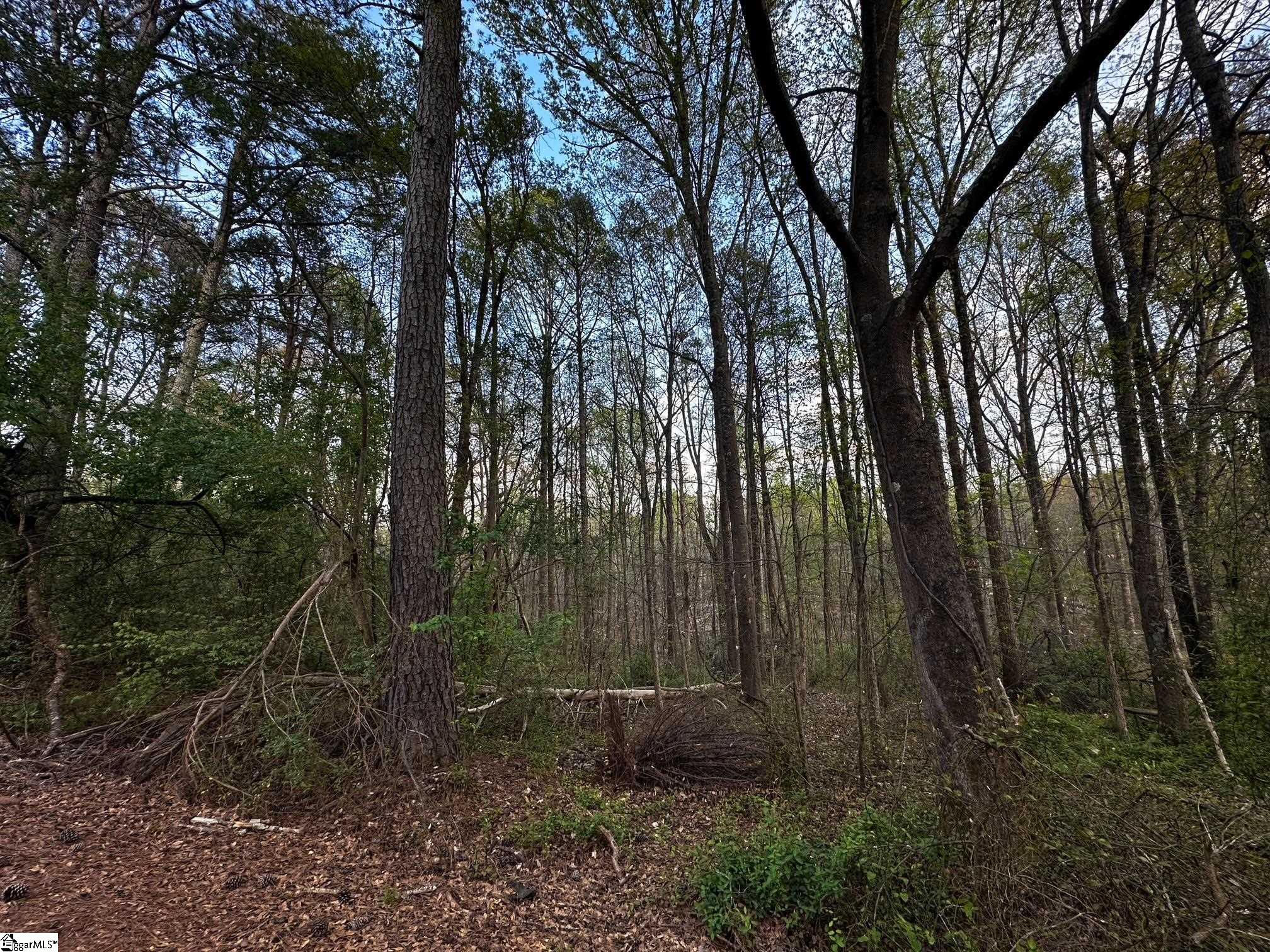 101 Sugarmill Lane Moore, SC 29369 - Photo 1 of 7