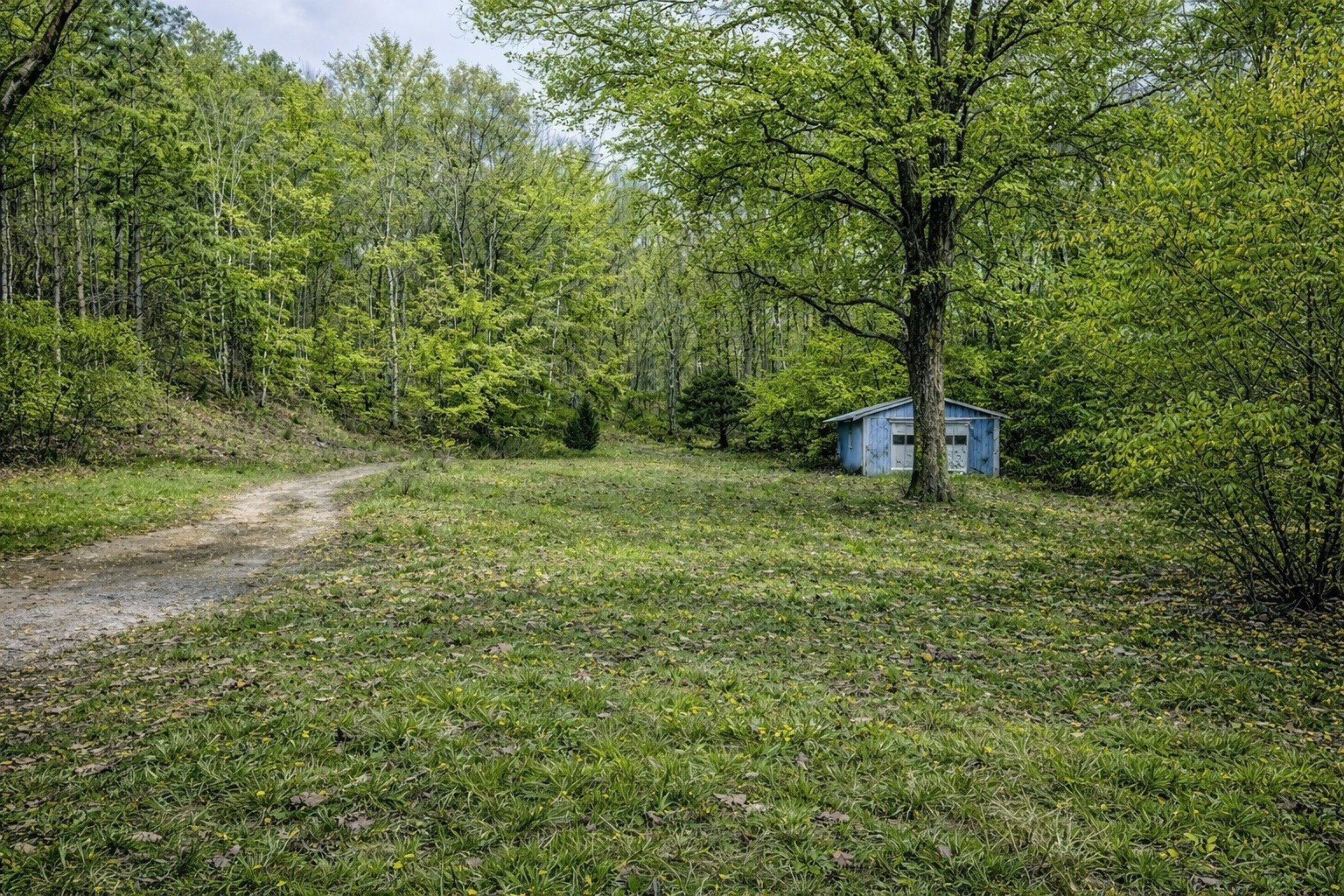 1135 West Mink Branch Road Waynesboro, TN 38485 - Photo 60 of 83