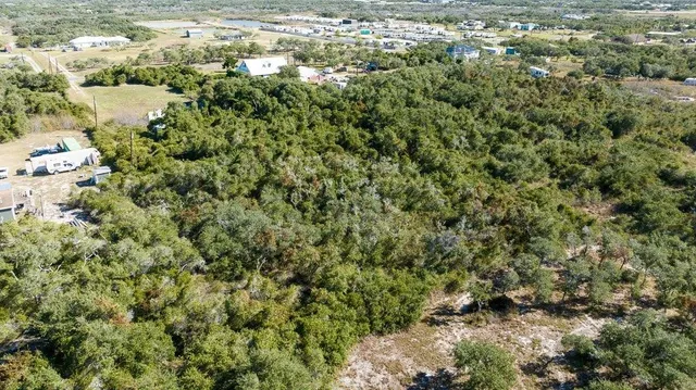 a view of a big yard with plants and large trees