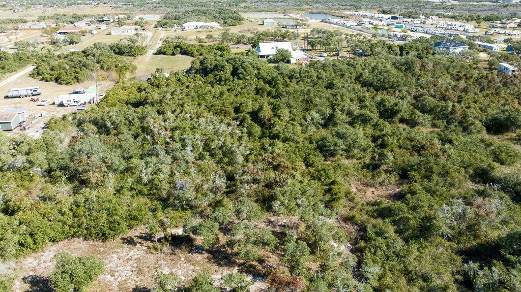 2277 Johnson Road Aransas Pass, TX 78336 - Photo 5 of 27 a view of a big yard with plants and large trees