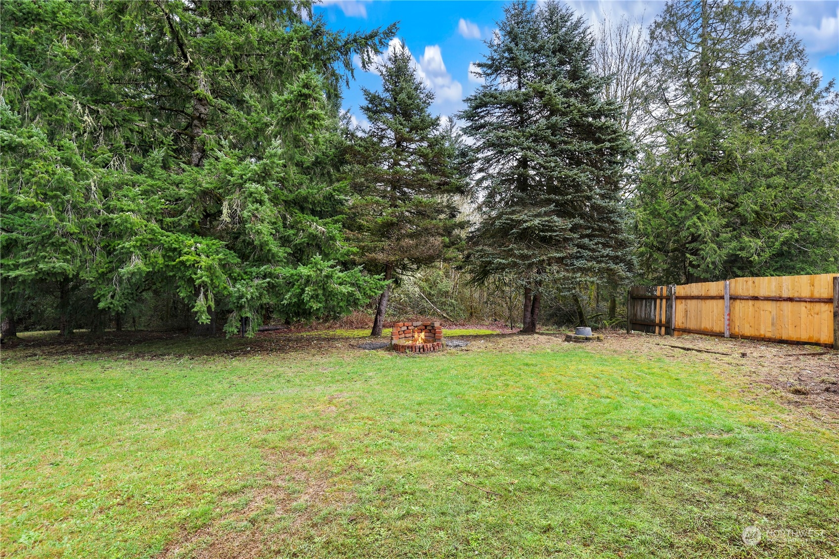 3640 Gull Harbor Road Northeast Olympia, WA 98506 - Photo 28 of 28 a view of a tree in a yard