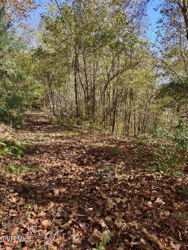 Tbd North Fork River Road, Unit 3 Abingdon, VA 24210 - Photo 14 of 34 *