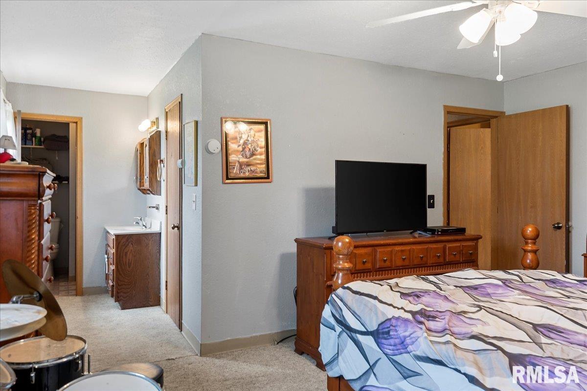 805 Alsey Smith Road Alsey, IL 62694 - Photo 20 of 32 Gallery Image 20