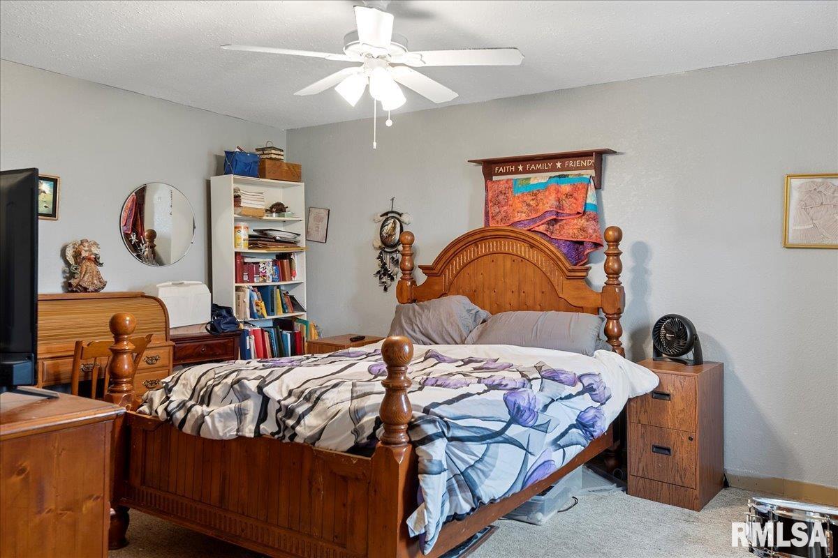 805 Alsey Smith Road Alsey, IL 62694 - Photo 21 of 32 Gallery Image 21