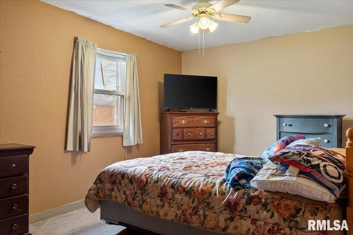 805 Alsey Smith Road Alsey, IL 62694 - Photo 23 of 32 Gallery Image 23