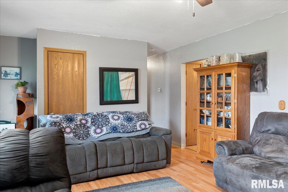 805 Alsey Smith Road Alsey, IL 62694 - Photo 7 of 32 Gallery Image 7