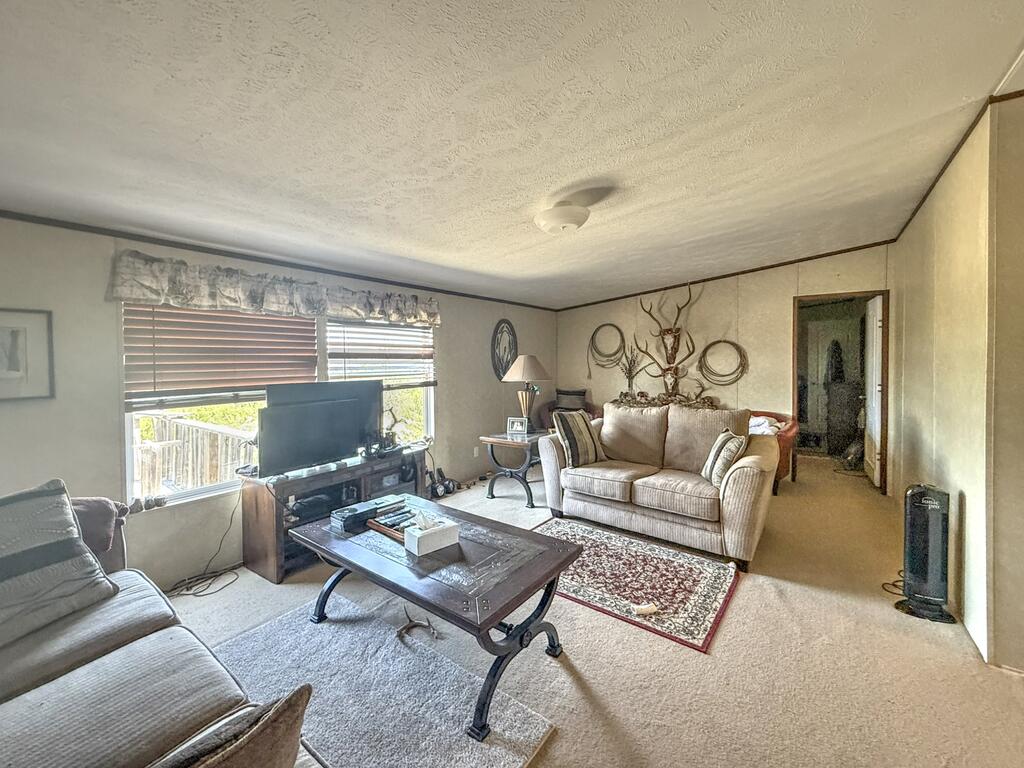 100 SD 28060 Rocksprings, TX 78880 - Photo 12 of 18 Gallery Image 12