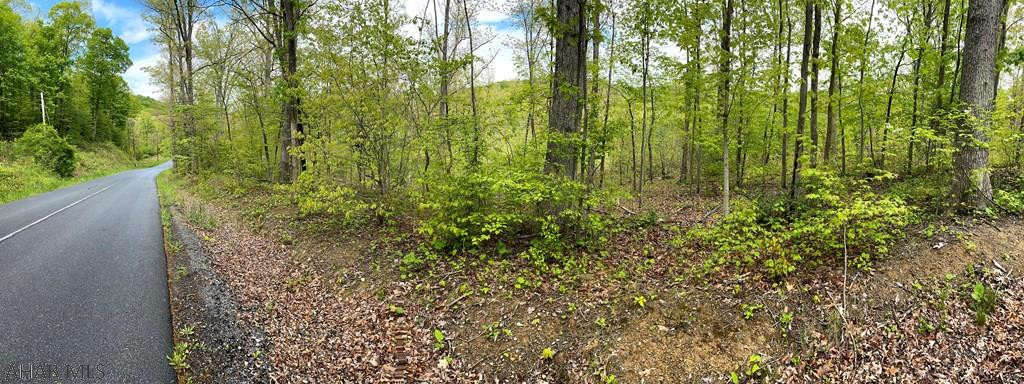 0 Sweet Root Road Bedford, PA 15522 - Photo 5 of 23 Gallery Image 5