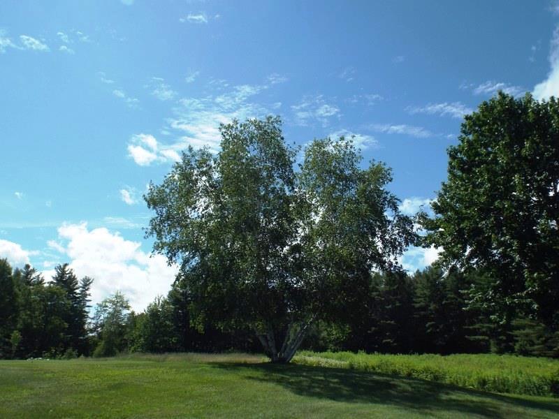 715 Lake House Road Naples, ME 04055 - Photo 20 of 31 Photo