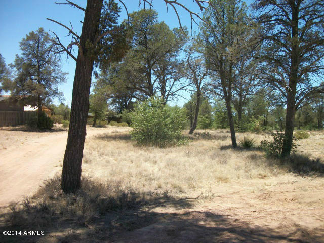 412 South Forest Ridge Court, Unit 9 Payson, AZ 85541 - Photo 2 of 6 Photo 02